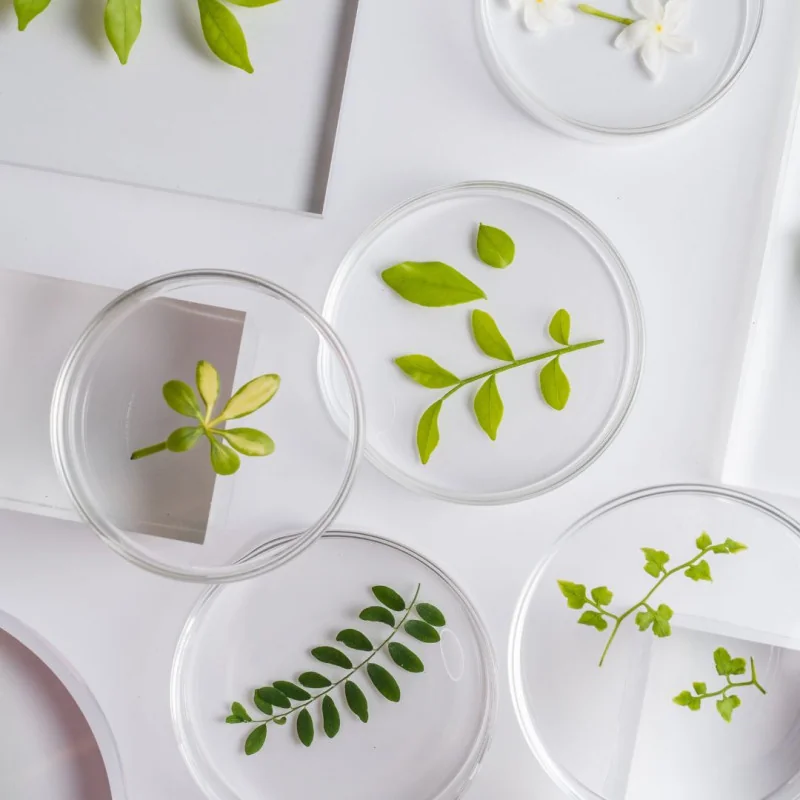 Sciences et vie de la Terre - 3ème