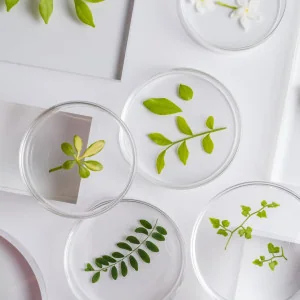 Sciences et vie de la Terre - 3ème