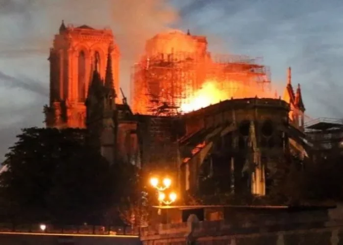 Notre-Dame de Paris | Cours Griffon