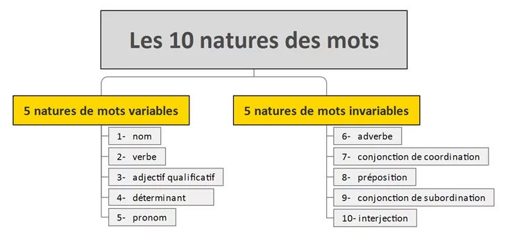 Cours et programme français 4ème | Cours Griffon